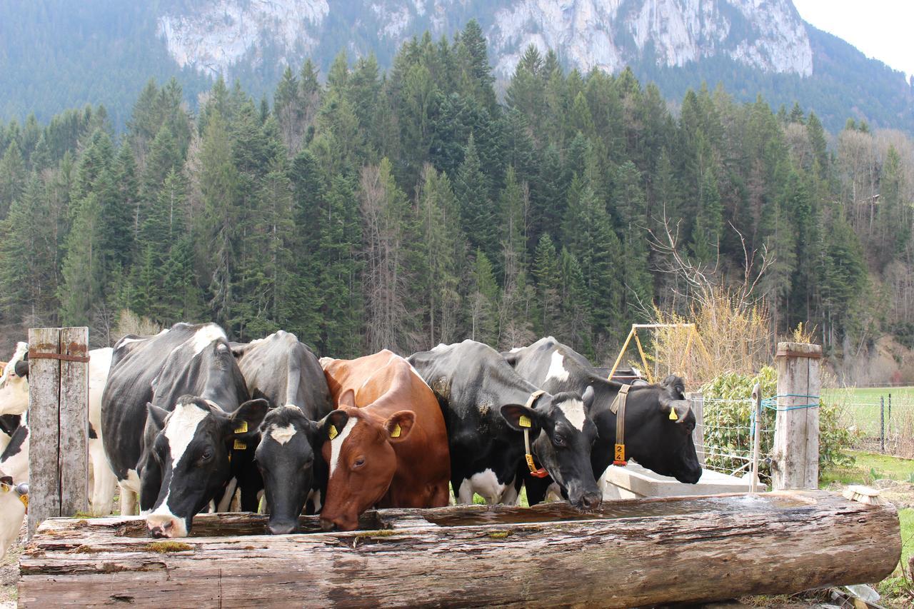 Le Berceau बिस्तर और नाश्ता *